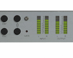 Radio Audio Processor